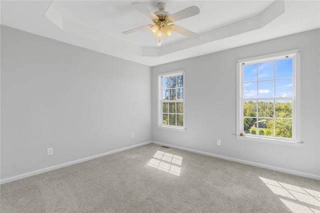 unfurnished room featuring carpet, a raised ceiling, and ceiling fan