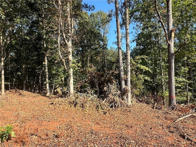 view of local wilderness