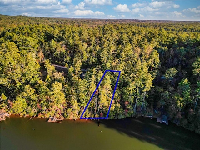 325 Evergreen Ridge Rd Waterfront, Dockable, Waterfront, Dockable, Tamassee, SC 29686