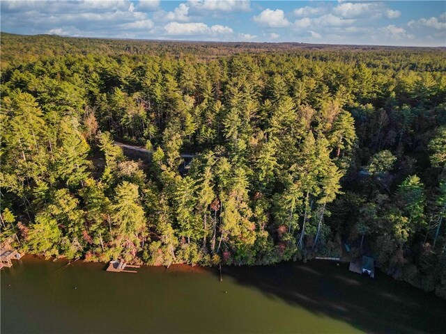 325 Evergreen Ridge Rd Waterfront, Dockable, Waterfront, Dockable, Tamassee, SC 29686