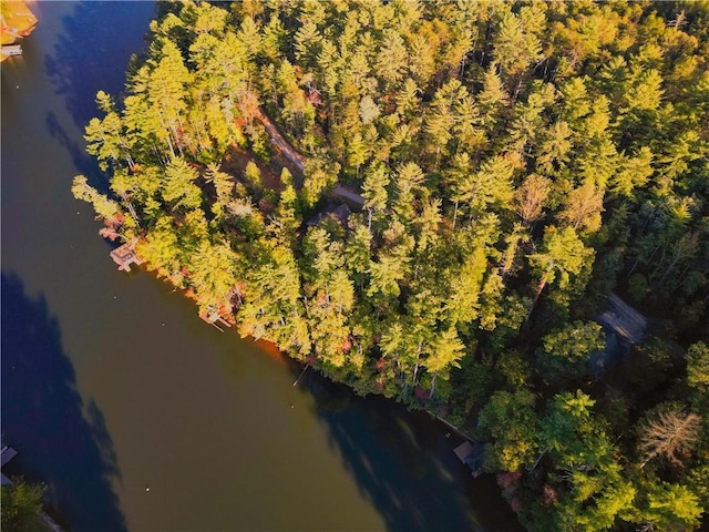 325 Evergreen Ridge Rd Waterfront, Dockable, Waterfront, Dockable, Tamassee, SC 29686