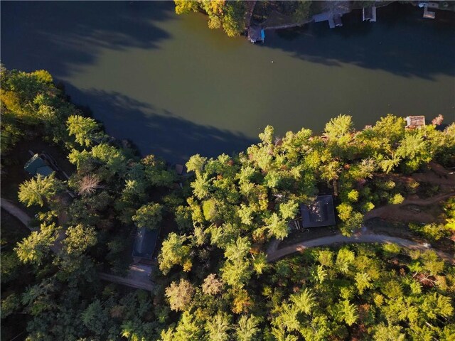325 Evergreen Ridge Rd Waterfront, Dockable, Waterfront, Dockable, Tamassee, SC 29686