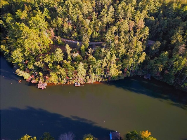 325 Evergreen Ridge Rd Waterfront, Dockable, Waterfront, Dockable, Tamassee, SC 29686