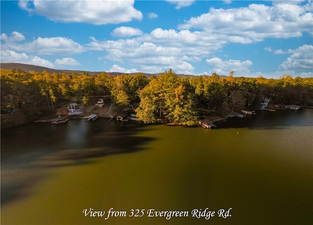 325 Evergreen Ridge Rd Waterfront, Dockable, Waterfront, Dockable, Tamassee SC, 29686 land for sale