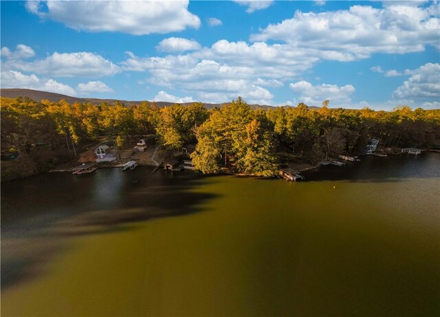 325 Evergreen Ridge Rd Waterfront, Dockable, Waterfront, Dockable, Tamassee, SC 29686