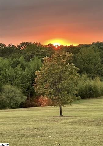 nature at dusk featuring a forest view