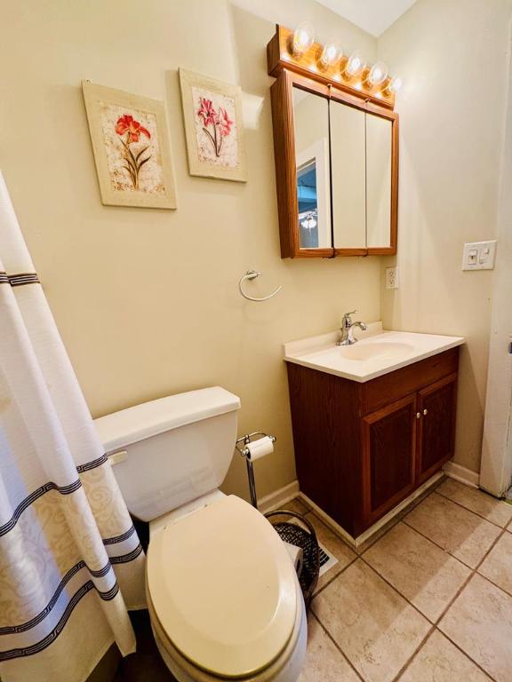 bathroom featuring vanity, toilet, and tile patterned flooring