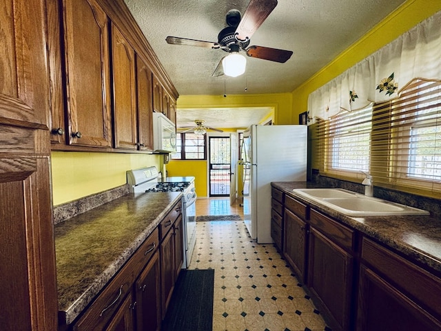 kitchen with a wealth of natural light, sink, a textured ceiling, and white appliances