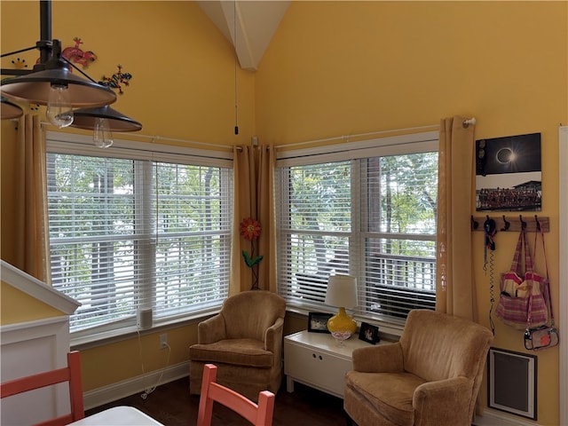 sitting room with dark wood-type flooring and high vaulted ceiling