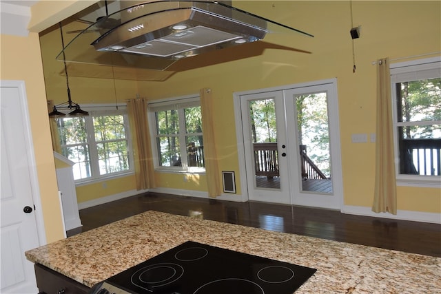 interior space with french doors and dark hardwood / wood-style flooring