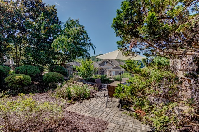 view of yard with a patio