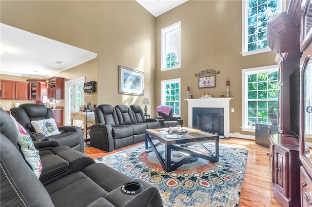 living room with light hardwood / wood-style flooring, a towering ceiling, and ornamental molding