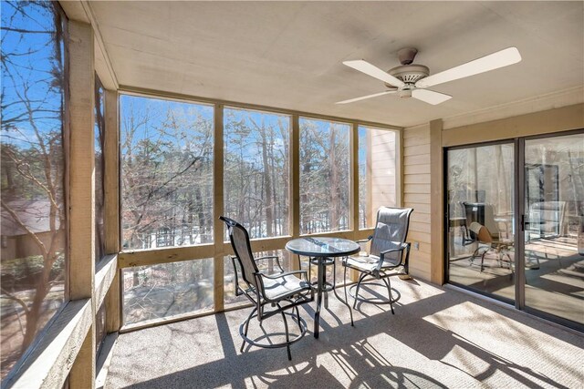 126 E Blue Heron Dr, Salem, SC 29676 - sunroom / solarium with ceiling fan