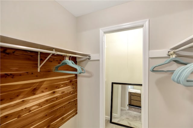 spacious closet featuring carpet floors