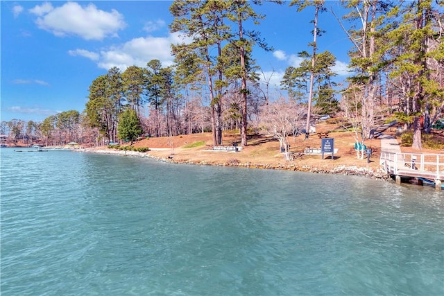 126 E Blue Heron Dr, Salem, SC 29676 - water view
