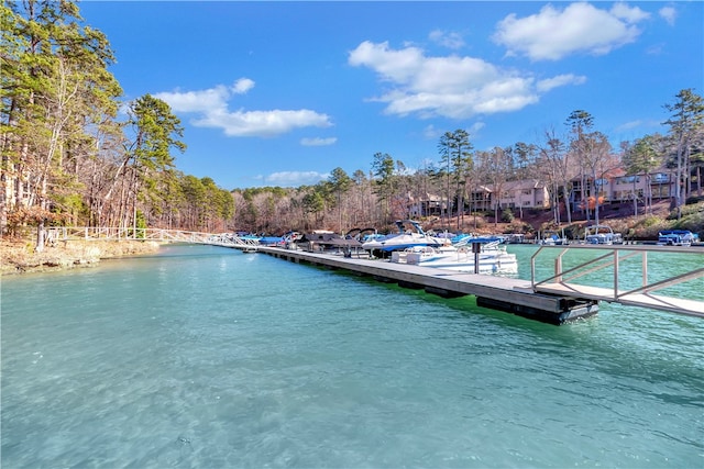 dock area with a water view