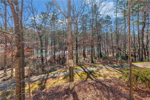 126 E Blue Heron Dr, Salem, SC 29676 - view of yard