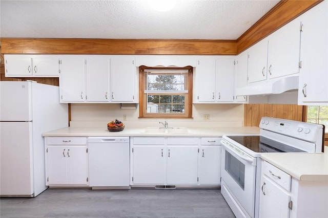 kitchen featuring hardwood / wood-style floors, sink, white appliances, a textured ceiling, and white cabinets