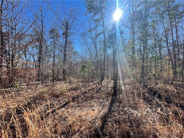 06 Sixteenth Cir, Walhalla, SC 29691 - photo 8