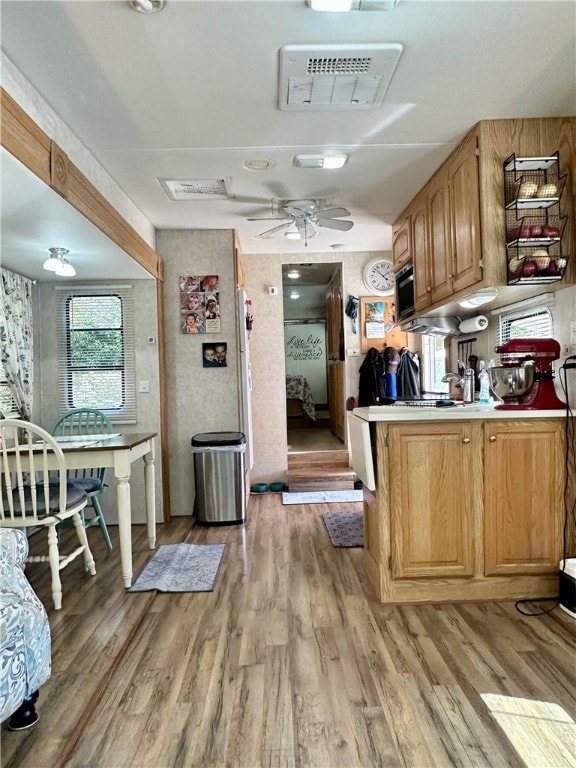 kitchen with light hardwood / wood-style floors, sink, and ceiling fan