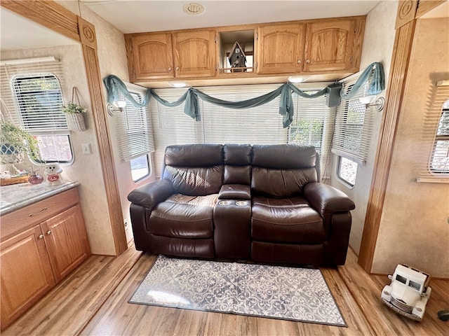 living room featuring light hardwood / wood-style floors and plenty of natural light