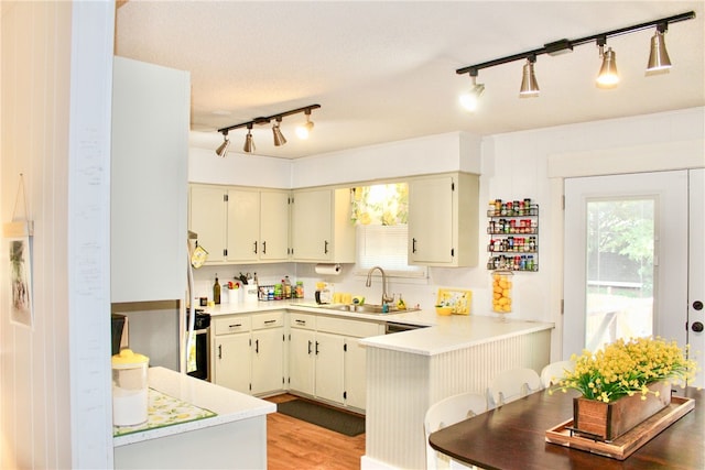 kitchen with light hardwood / wood-style flooring, kitchen peninsula, track lighting, and sink