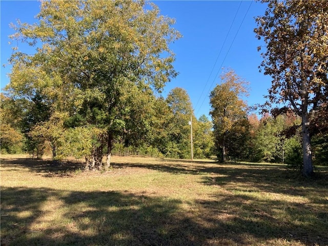 view of local wilderness