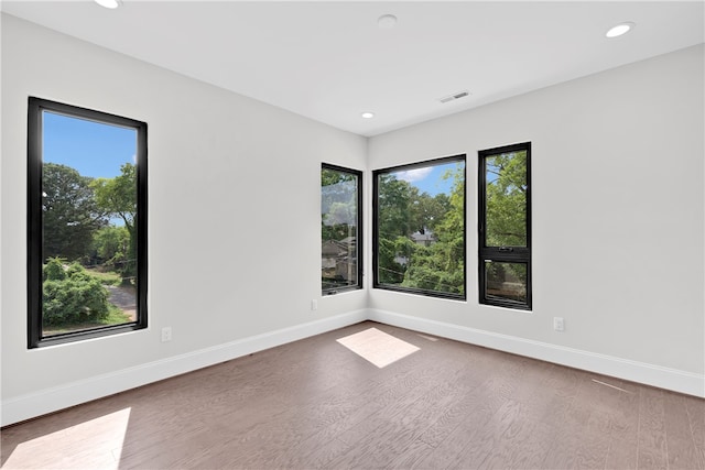 unfurnished room featuring a healthy amount of sunlight and wood-type flooring