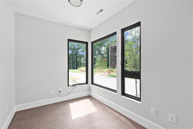 spare room featuring wood-type flooring