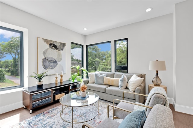 living room with hardwood / wood-style floors