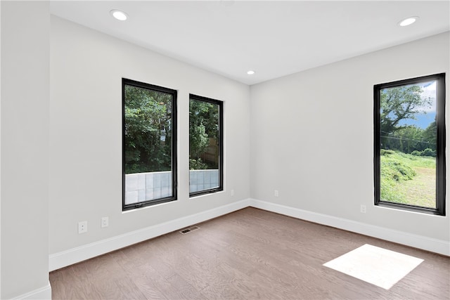 spare room with light hardwood / wood-style floors and a wealth of natural light