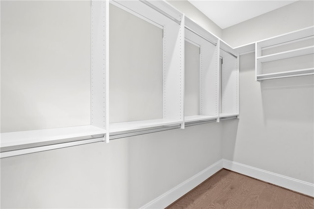 walk in closet featuring wood-type flooring