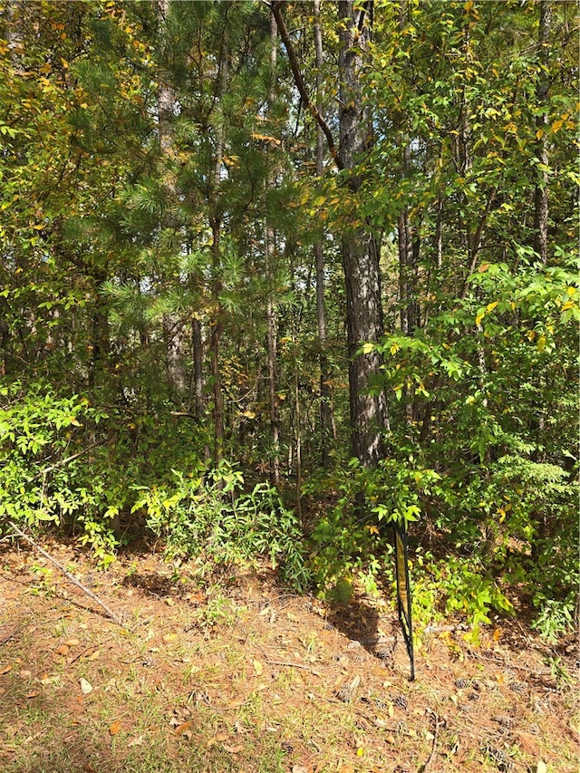 Listing photo 2 for LOT55 Parkview Dr, Fair Play SC 29643