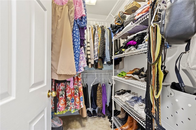 spacious closet with carpet floors