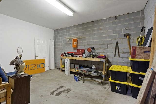 basement featuring a workshop area