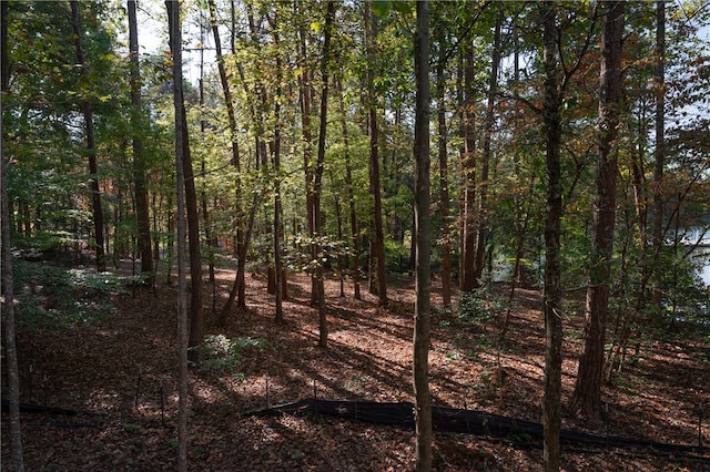 Listing photo 2 for LOT13 Village View Dr, Sunset SC 29685