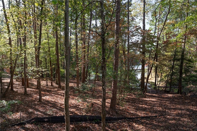 Listing photo 3 for LOT13 Village View Dr, Sunset SC 29685