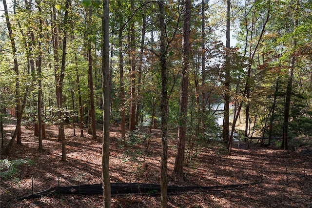 LOT13 Village View Dr, Sunset, SC 29685 - photo 3