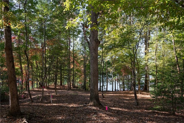 LOT13 Village View Dr, Sunset, SC 29685 - photo 4
