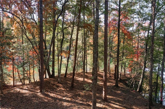LOT13 Village View Dr, Sunset, SC 29685 - photo 5
