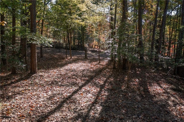 LOT13 Village View Dr, Sunset, SC 29685 - photo 6