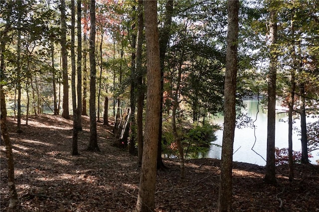 LOT13 Village View Dr, Sunset, SC 29685 - photo 7