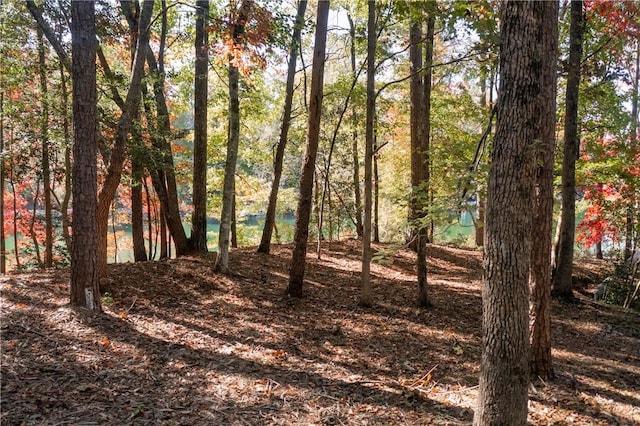 LOT13 Village View Dr, Sunset, SC 29685 - photo 9