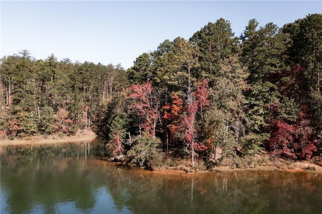 LOT13 Village View Dr, Sunset, SC 29685 - photo 11