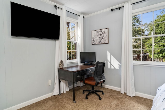 office space featuring crown molding, light colored carpet, and plenty of natural light