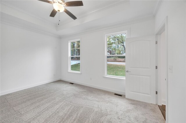 spare room with carpet flooring, a healthy amount of sunlight, and ornamental molding