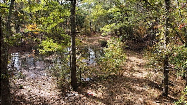 view of local wilderness featuring a water view