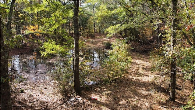 1305 Wilton E Hall Rd, Starr, SC 29684 - view of woods