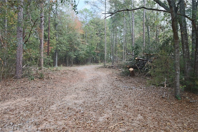 view of road featuring a view of trees