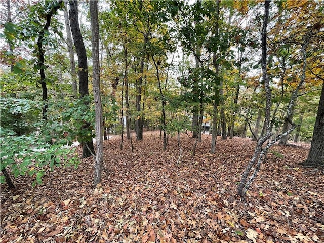 150 Indian Hills Dr, Westminster, SC 29693 - photo 5